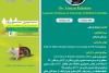 Partial Volume correction in PET Imaging